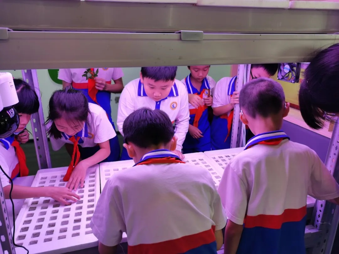 海睿科技榮獲黃埔區“2025年優秀科普企業”稱號3.jpg